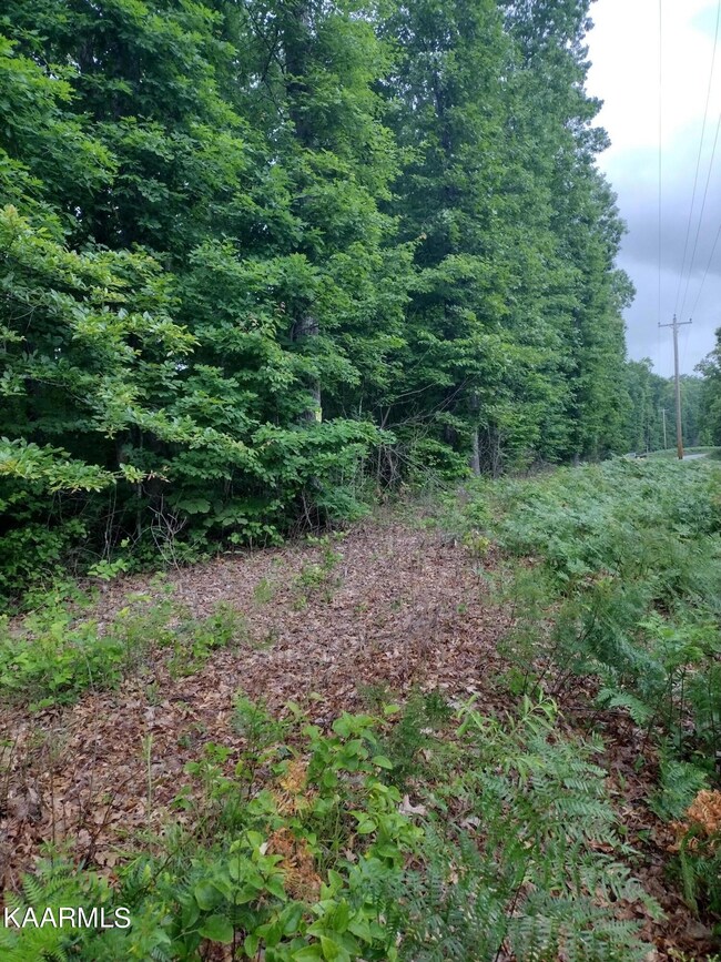IMG_20220606_175622395_HDR