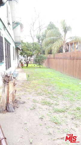 1702 Wilmington Side Yard
