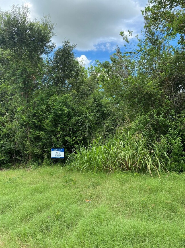 4800 Cr 89 Old Chocolate Bayou Rd, Manvel, TX 77578 - photo 2