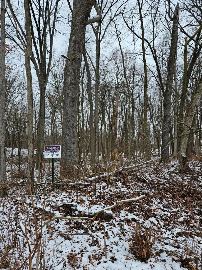 vacant lot 2