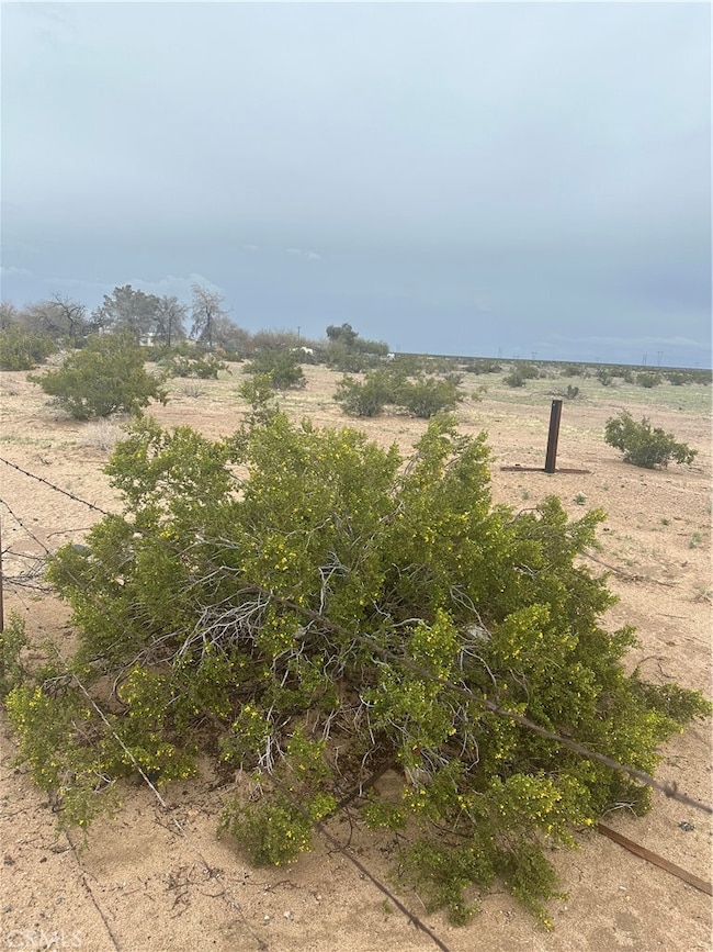 18441 Blythe Way, Blythe, CA 92225 - photo 4