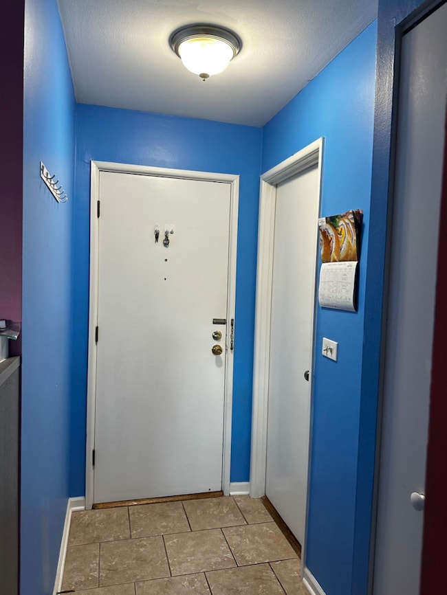 8245 Belmont Ave unit 2C, River Grove, IL 60171 - photo 6