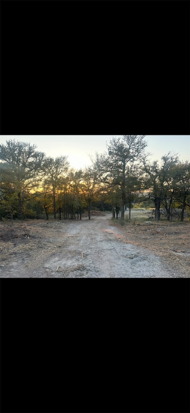 113 Overlook Ct, Cresson, TX 76035 - photo 3