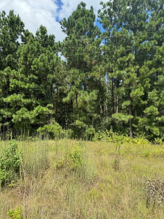 1399 Lakepoint Passage, Nacogdoches, TX 75964 - photo 4