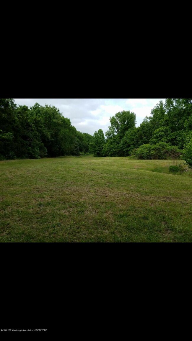 Pasture 2