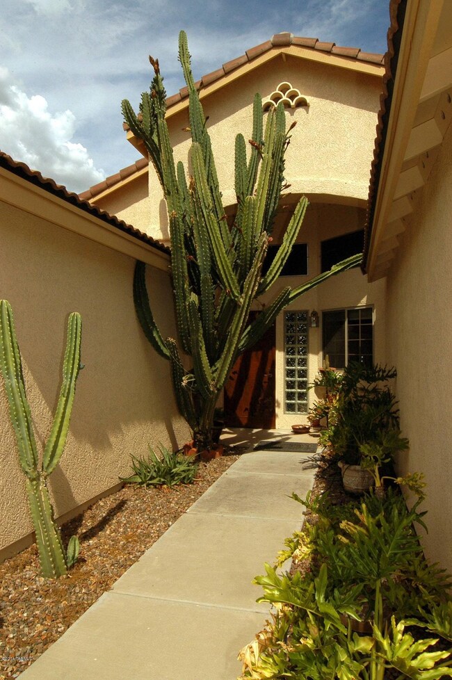 Yucca07