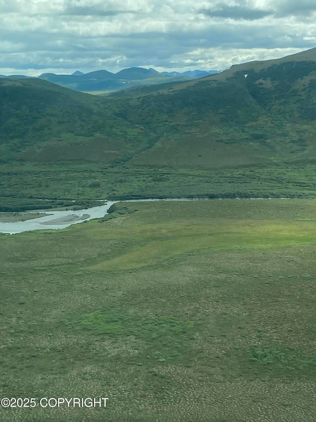 L1 Goodnews River, Goodnews Bay, AK 99589 - photo 3