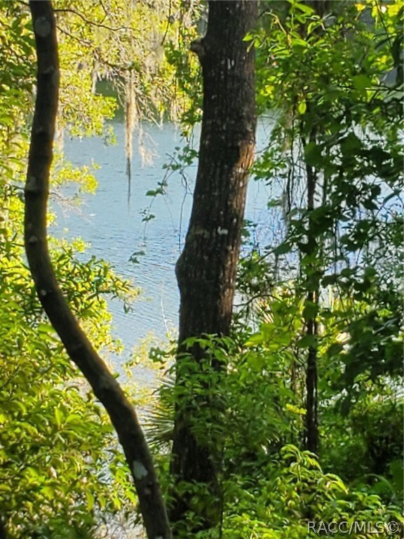 2214 E Keepsake Ln, Hernando, FL 34442 - photo 6