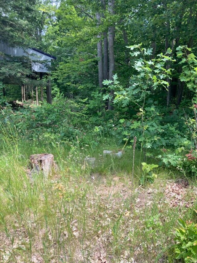 Carp lake 3 July 6, 2025