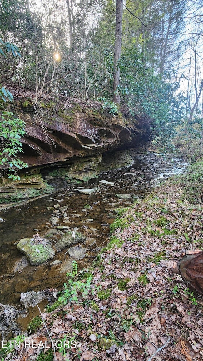 407 Ramsey Rd, Winfield, TN 37892 - photo 6