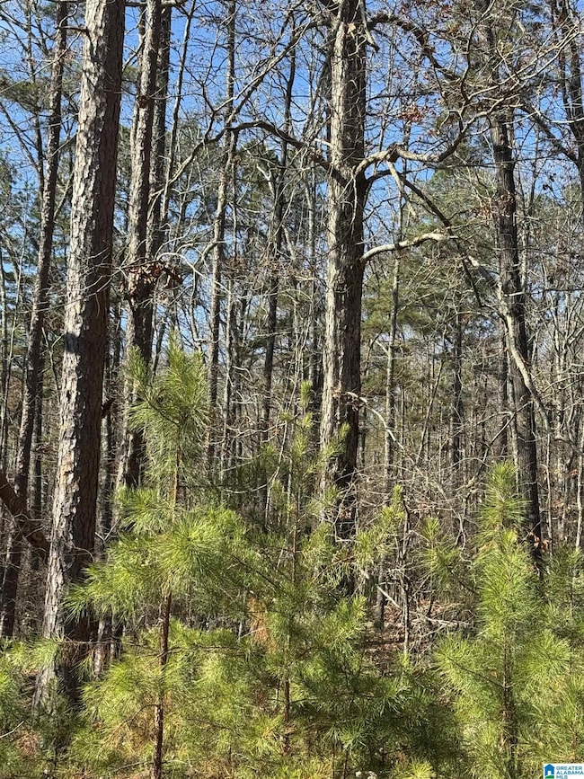 0 Arrowhead Dr unit 21437906, Delta, AL 36258 - photo 6