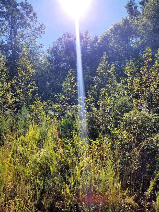 20.62 AC Stoney Cross Rd, Chase City, VA 23924 - photo 5