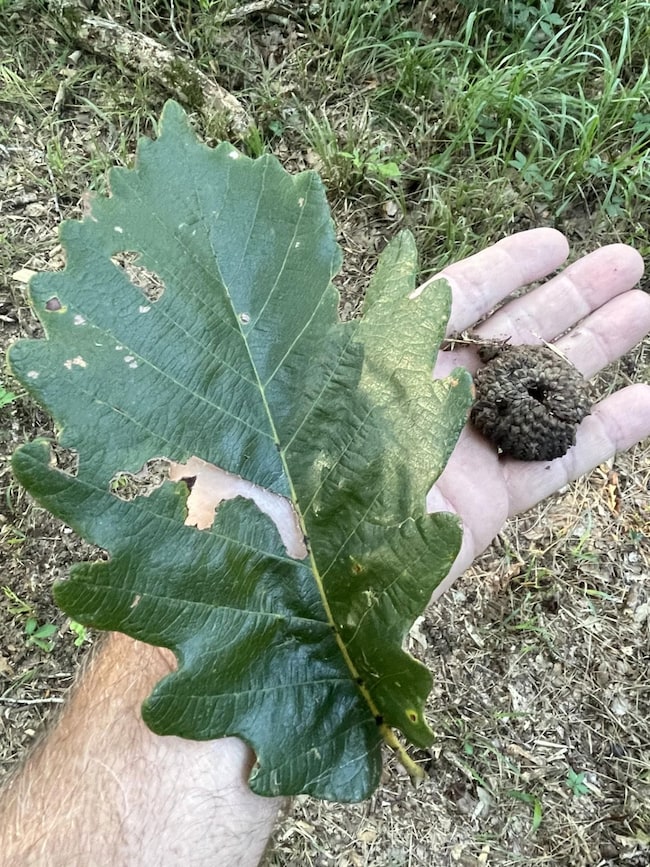 0 Alabama 41, Brewton, AL 36426 - photo 7