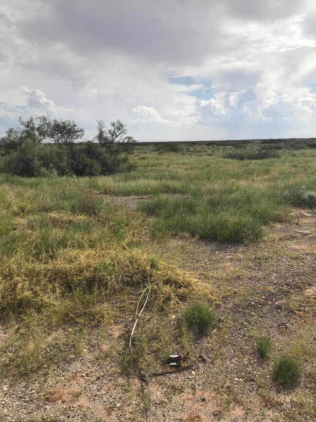 Vacant Land 940 Horizon City Lot 8 and 9