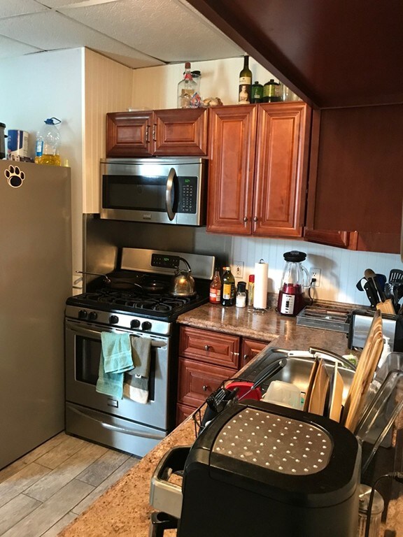 172 L St unit 3, Boston, MA 02127 - photo 7