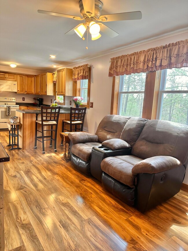 53 Branch Brook Ln, Newfield, ME 04095 - photo 5