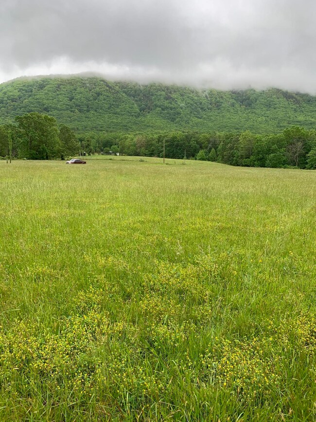 Lt 15 Old Mountain Rd, Greeneville, TN 37743 - photo 4