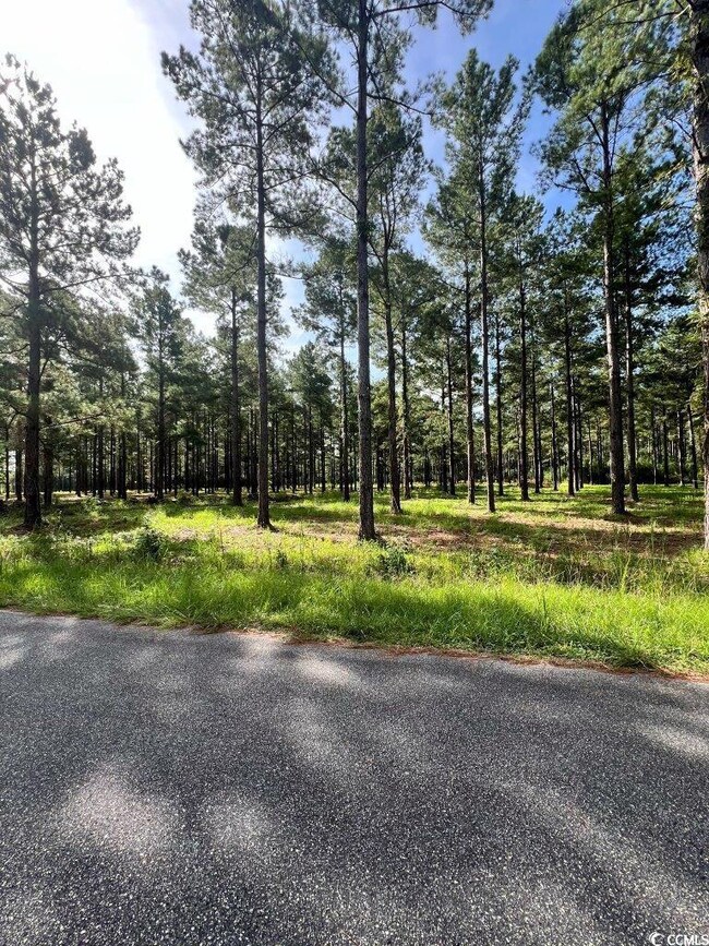 TBD Ashley Cir unit Lot 5, Conway, SC 29526 - photo 7