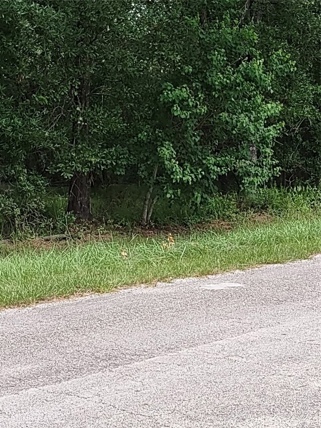 26721 Apache Trail, Magnolia, TX 77354 - photo 5