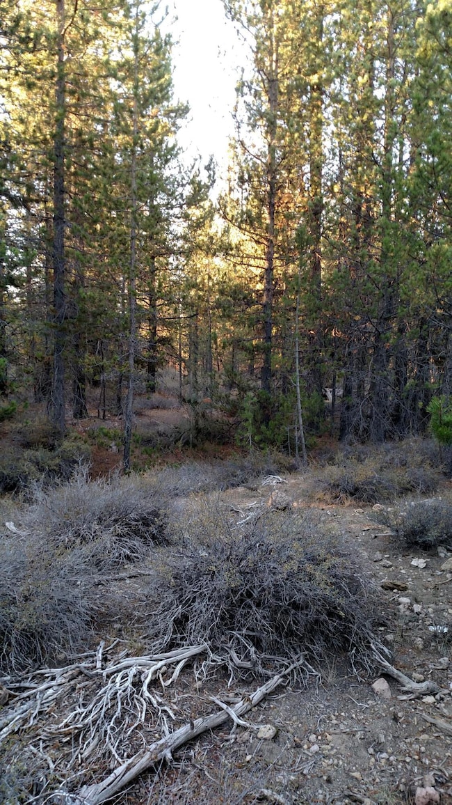 4800 Bear Flat (Nf 86), Chemult, OR 97731 - photo 4