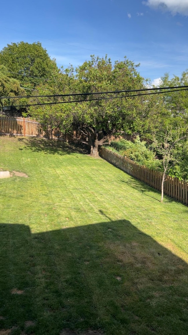 Nice yard areas
