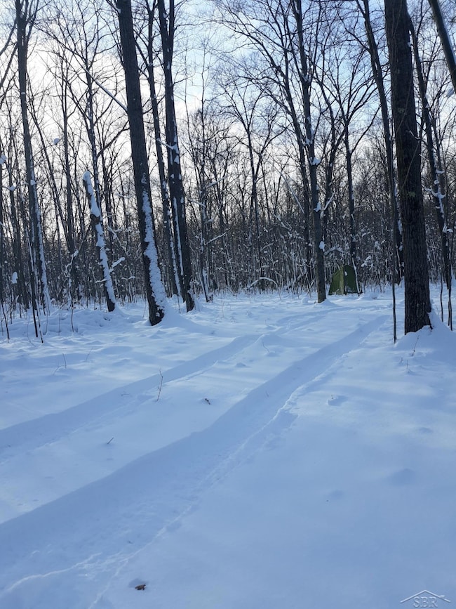 VL Camp Domino Trail, Hillman, MI 49746 - photo 2