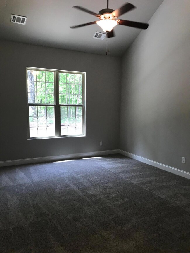 48 Red Cedar Ct, Forsyth, GA 31029 - photo 7