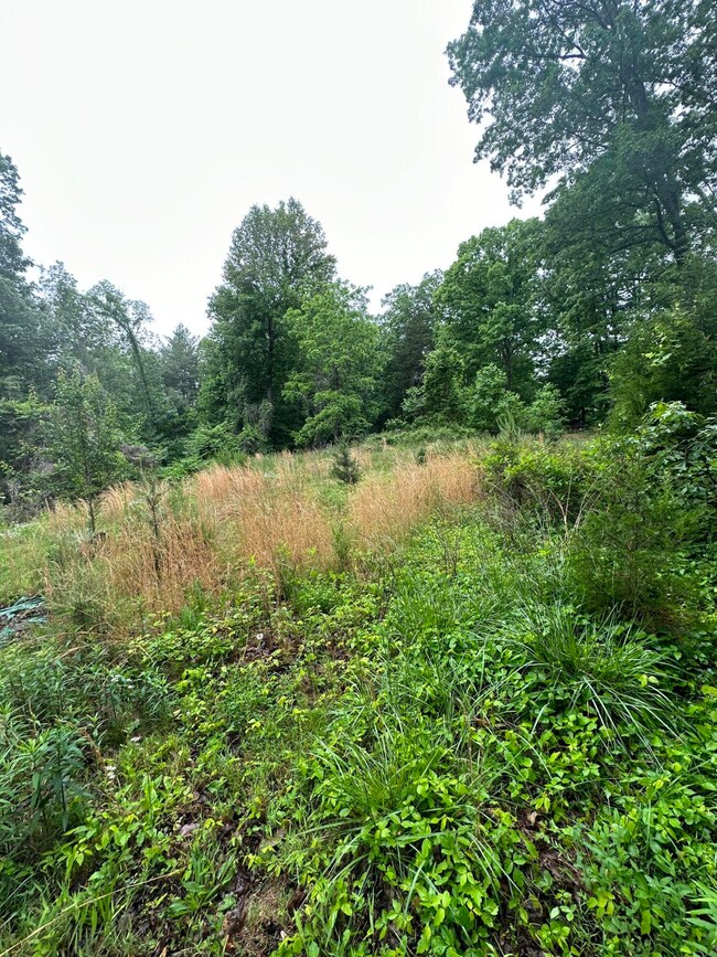 IMG-0219