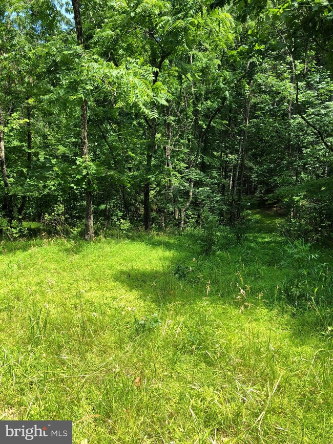 0 Virginia Line Rd unit WVMO115566, Berkeley Springs, WV 25411 - photo 2