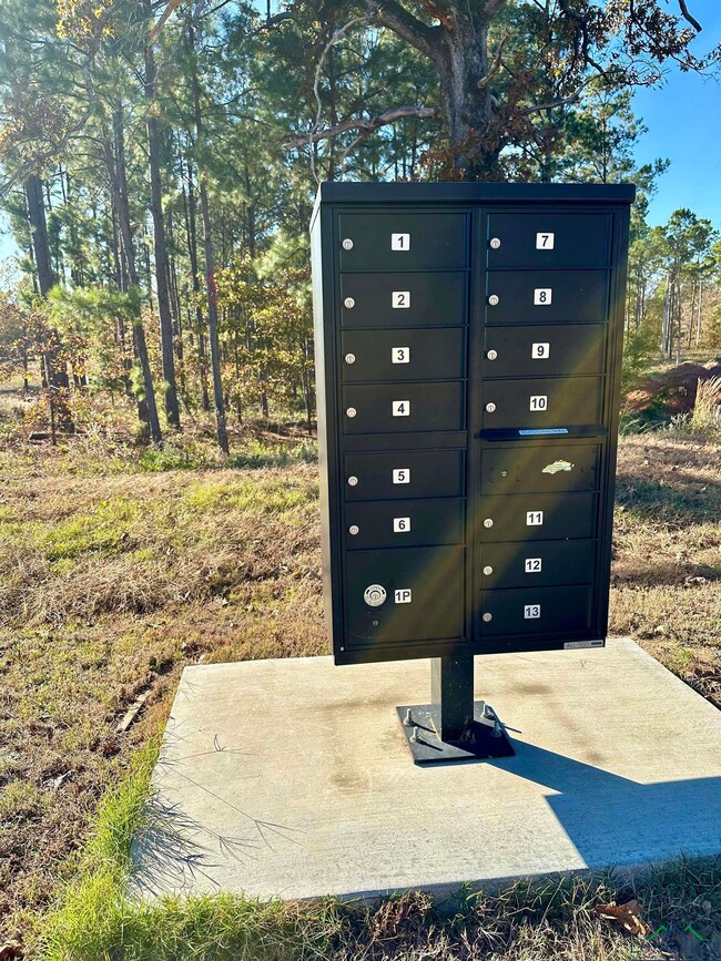 178 Eagle Creek Dr, Diana, TX 75640 - photo 5