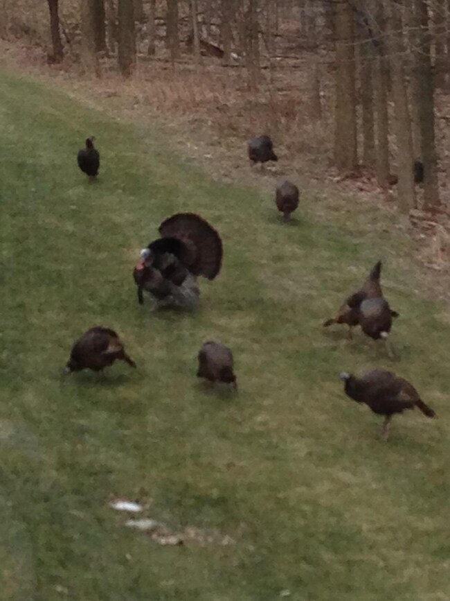 3877 Pemberton Dr SE unit 18, Grand Rapids, MI 49508 - photo 3