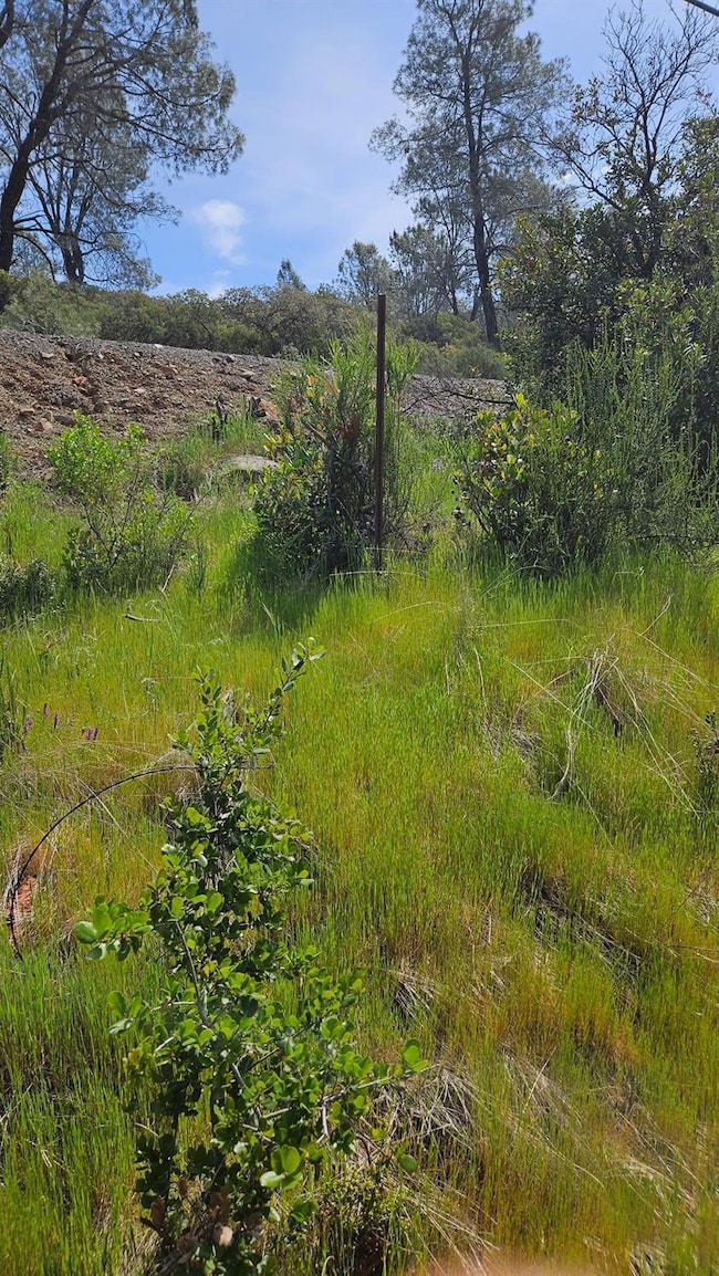 1641 Hidden Bridge Rd, El Dorado Hills, CA 95762 - photo 5