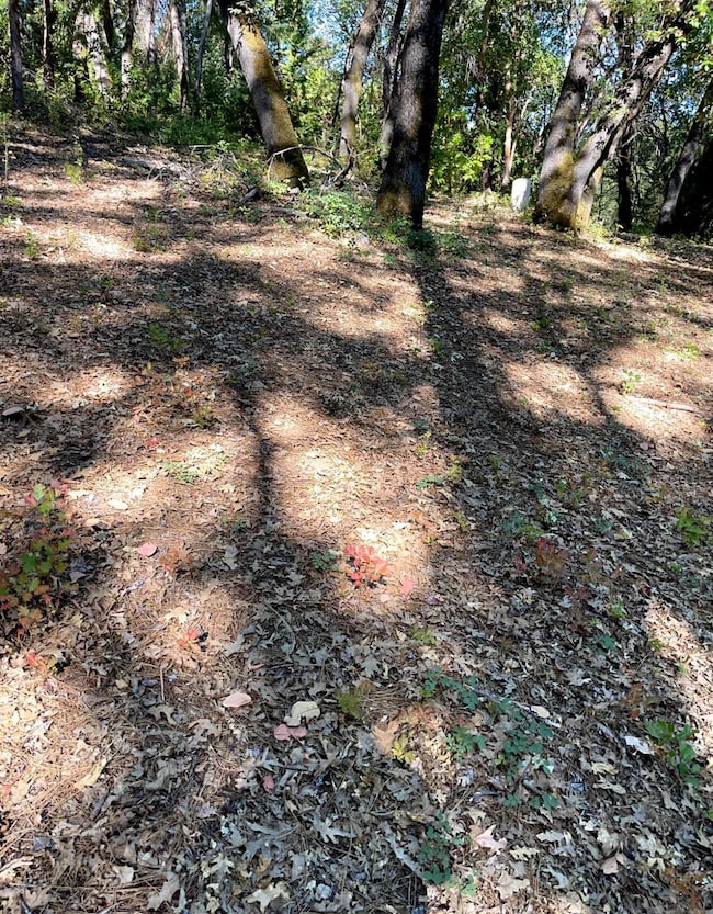 20676 Spring Garden Rd, Foresthill, CA 95631 - photo 4