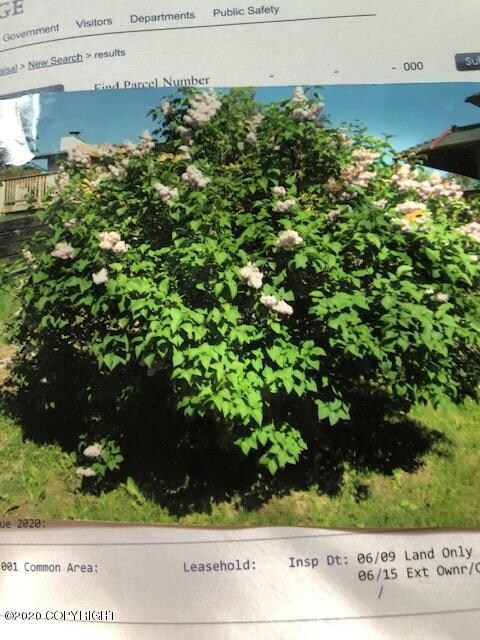 Recent landscaping in 2019