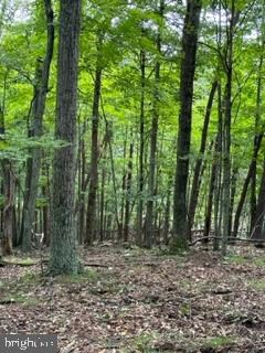 0 Silvercreek Ln unit WVMO2003390, Berkeley Springs, WV 25411 - photo 3