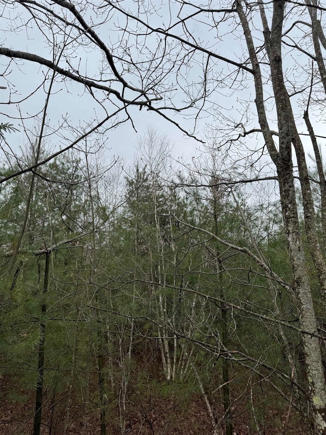 TBD Mason Rd, Milton, NH 03851 - photo 4