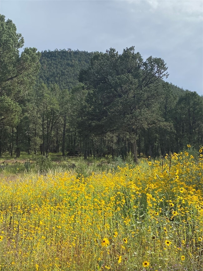 73 (Lot 10) The Cliffs, Glorieta, NM 87535 - photo 7