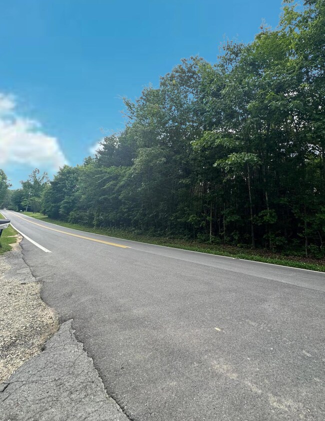 0 Woods Rd unit 1392669, Tunnel Hill, GA 30755 - photo 3