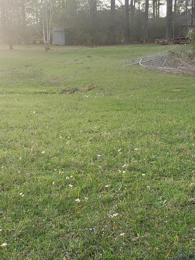 208 Piney Loop, Marshall, TX 75672 - photo 3