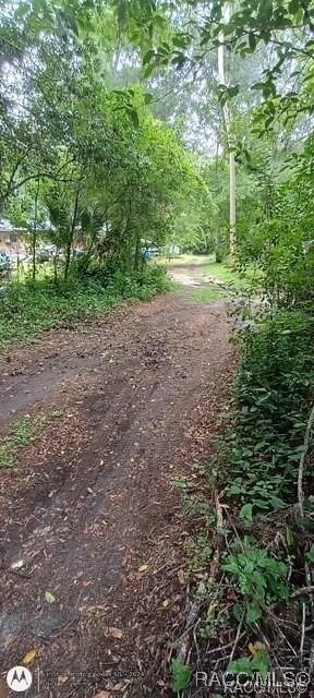 9379 E Tin Pan Aly, Inverness, FL 34453 - photo 6