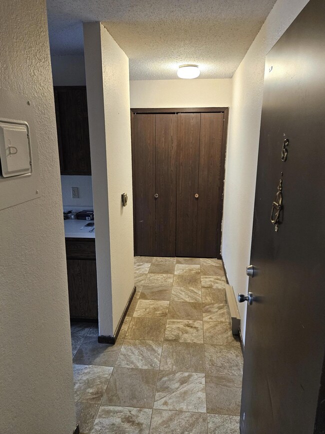 101 4th St E unit 8, Brandon, MN 56315 - photo 3