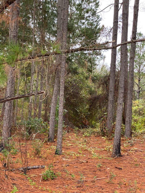 00 Bank Lodge Dr unit 9, Douglas, GA 31535 - photo 4