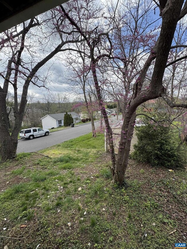 802 Burwell Ave, Staunton, VA 24401 - photo 4