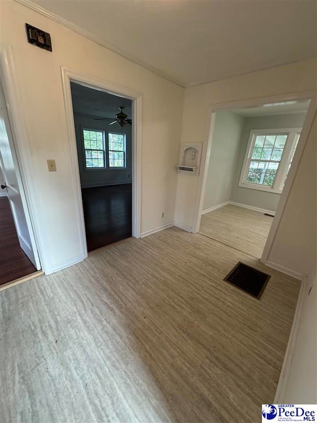 725 N Park St, Mullins, SC 29574 - photo 7