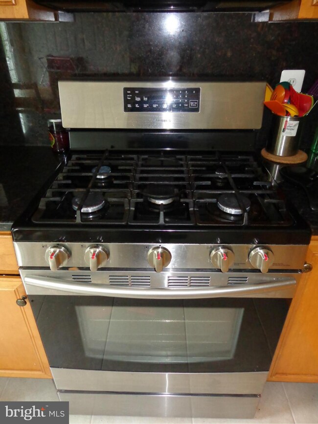 42783 Smallwood Terrace, Chantilly, VA 20152 - photo 5