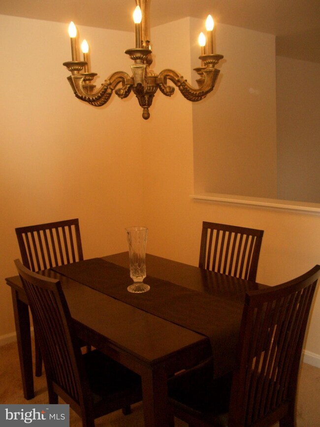 8340 Darlington St unit 484, Springfield, VA 22152 - photo 7