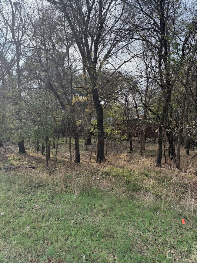 7114 Huron Trail, Weatherford, TX 76087 - photo 4