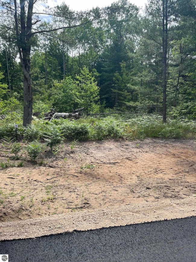 TBD Hoosier Flats Rd unit B, Traverse City, MI 49685 - photo 4