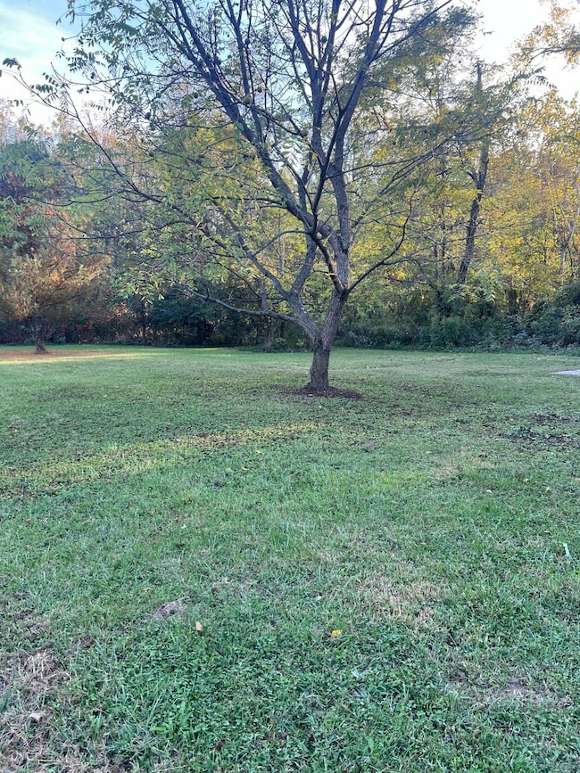 1086 Thornton-Spung Rd, Kingston, OH 45644 - photo 2