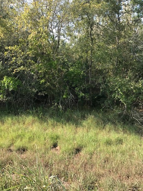 0 Leperchaun Ln, Brazoria, TX 77422 - photo 6